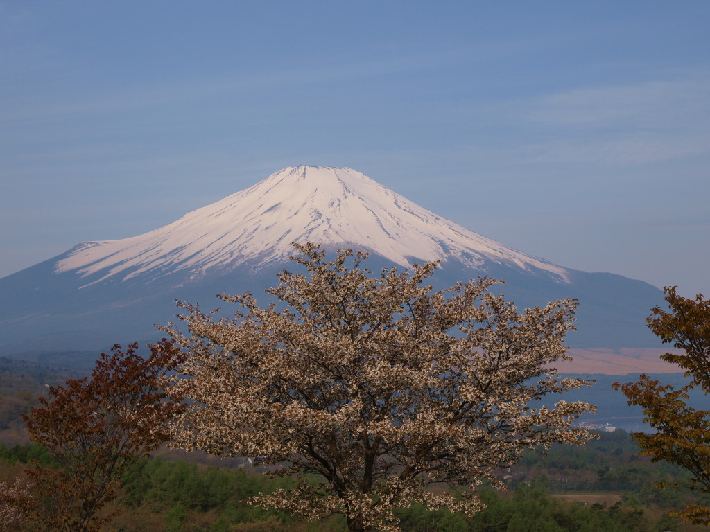 5/3 �x�m���ƕx�m�R