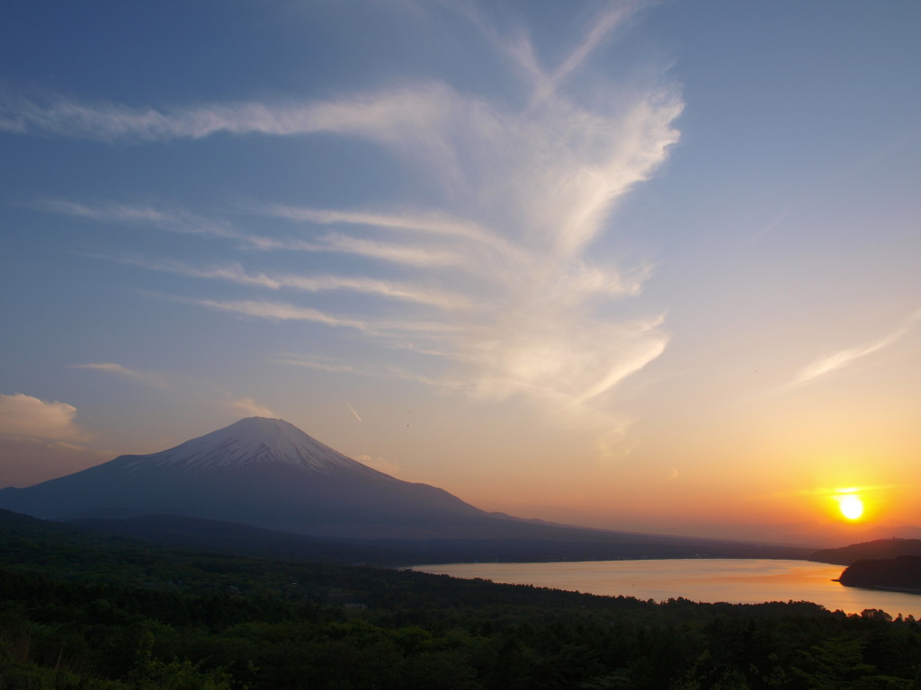 5/20 �[�Ă��Ƃ邵�_�ƕx�m�R