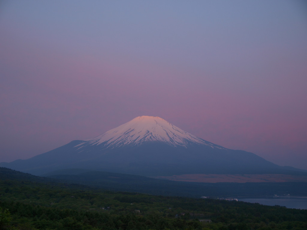 5/21 ���Ă��ƕx�m�R