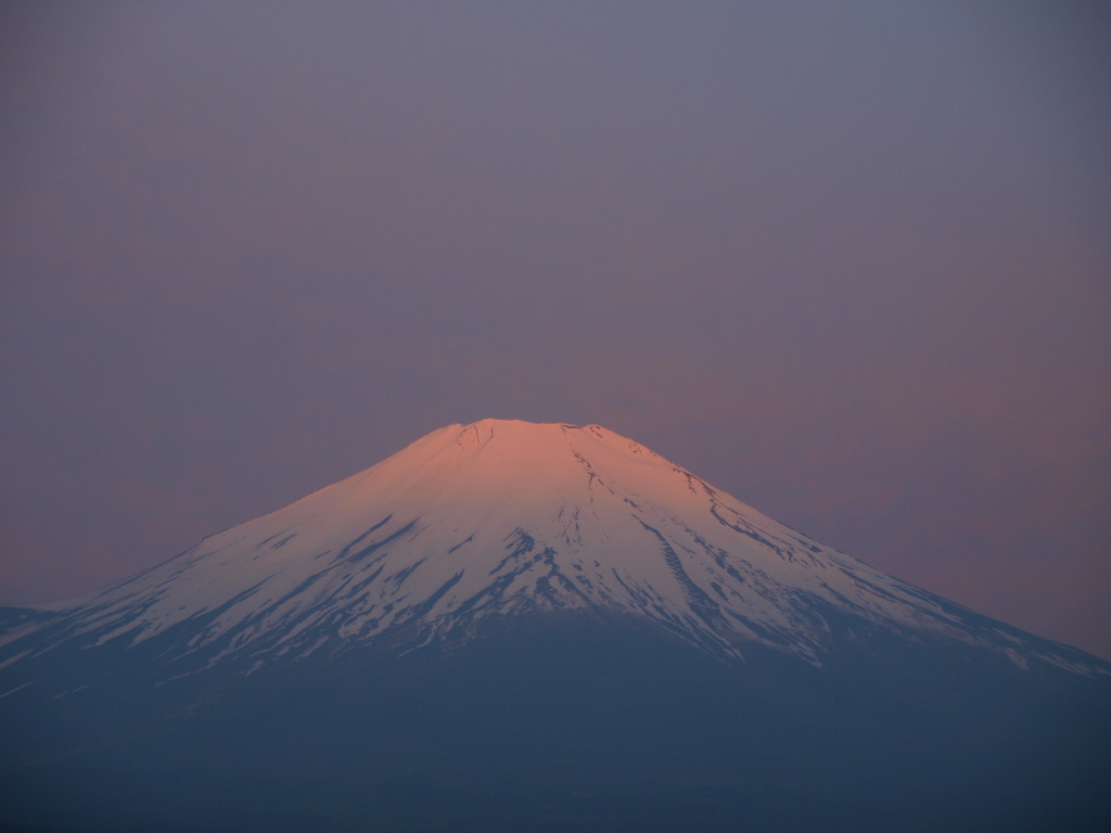 5/21 �������������g�x�m