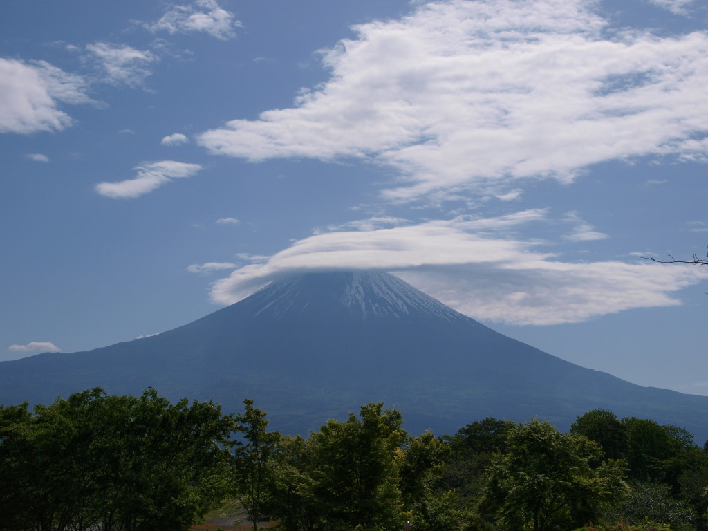 5/22 �P�_�ƕx�m�R