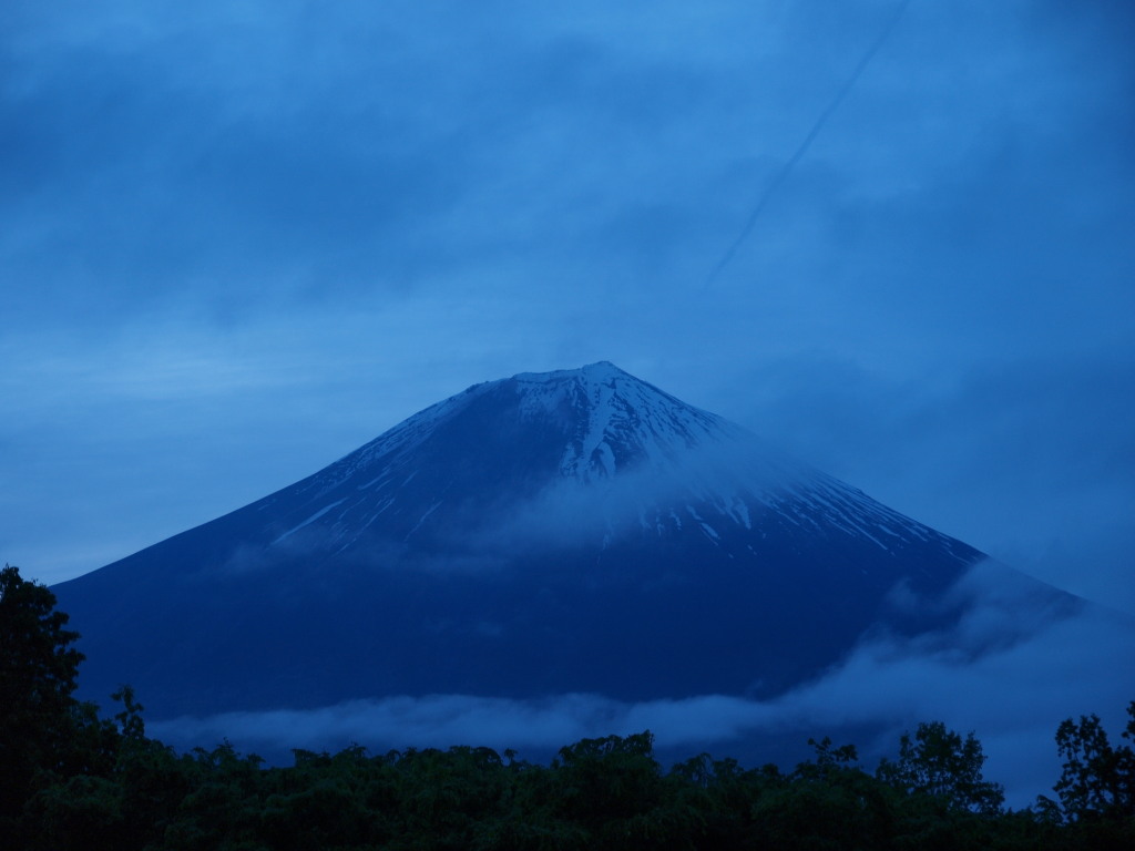 5/23 �܂�����̖q�ꂩ��̕x�m�R