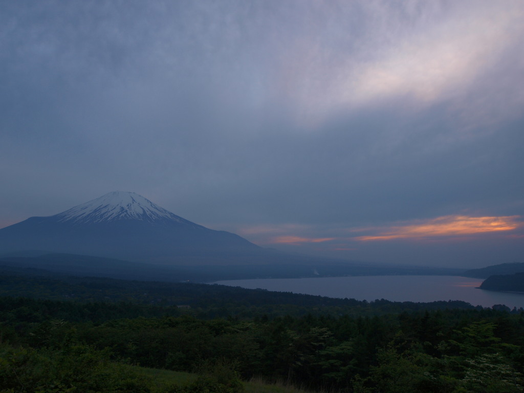 6/2 �_�̒��̗[�Ă��ƕx�m�R