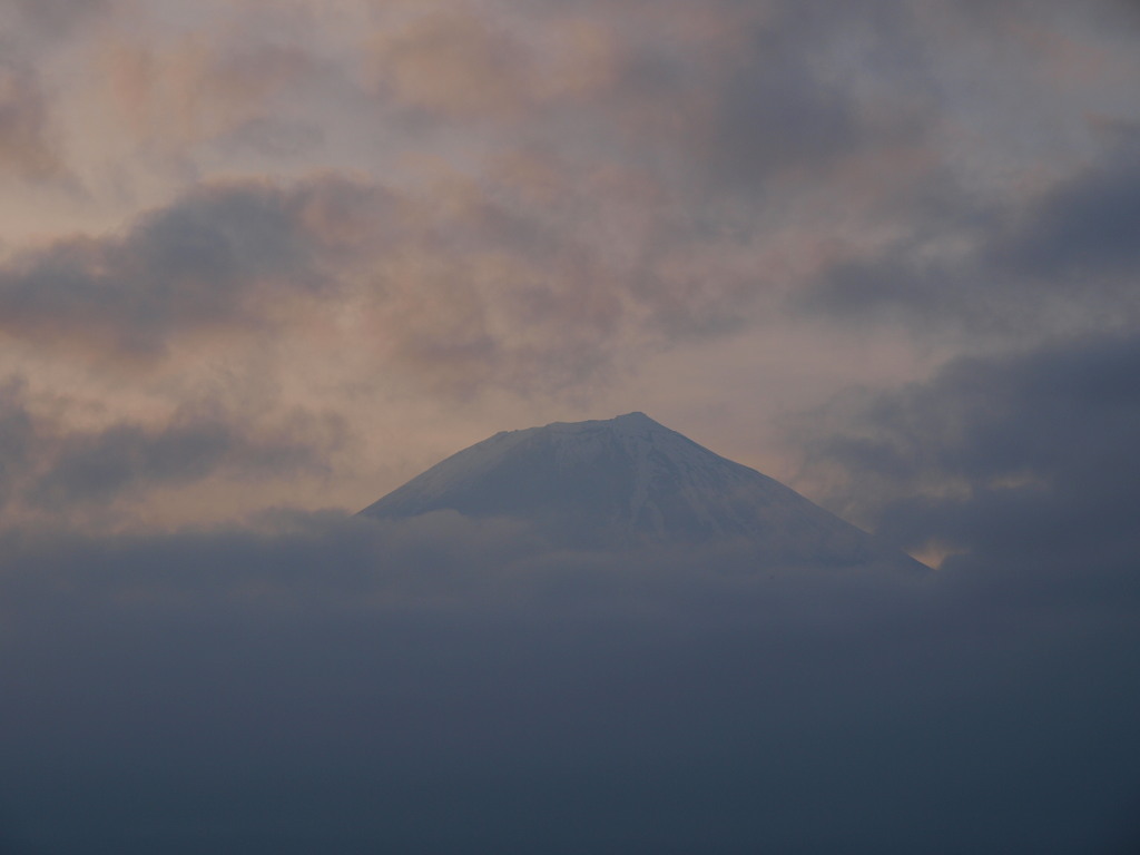 6/9 �c�ь΂���̕x�m�R