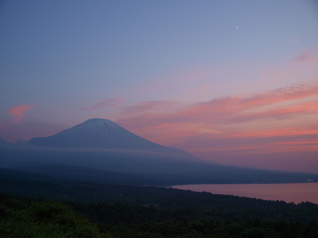 6/25 �[�Ă��ƌ��ƕx�m�R