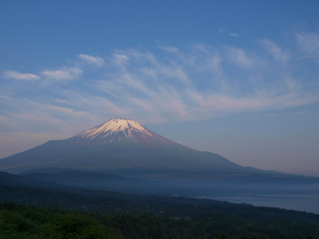 6/26 ���Ă��̕x�m�R