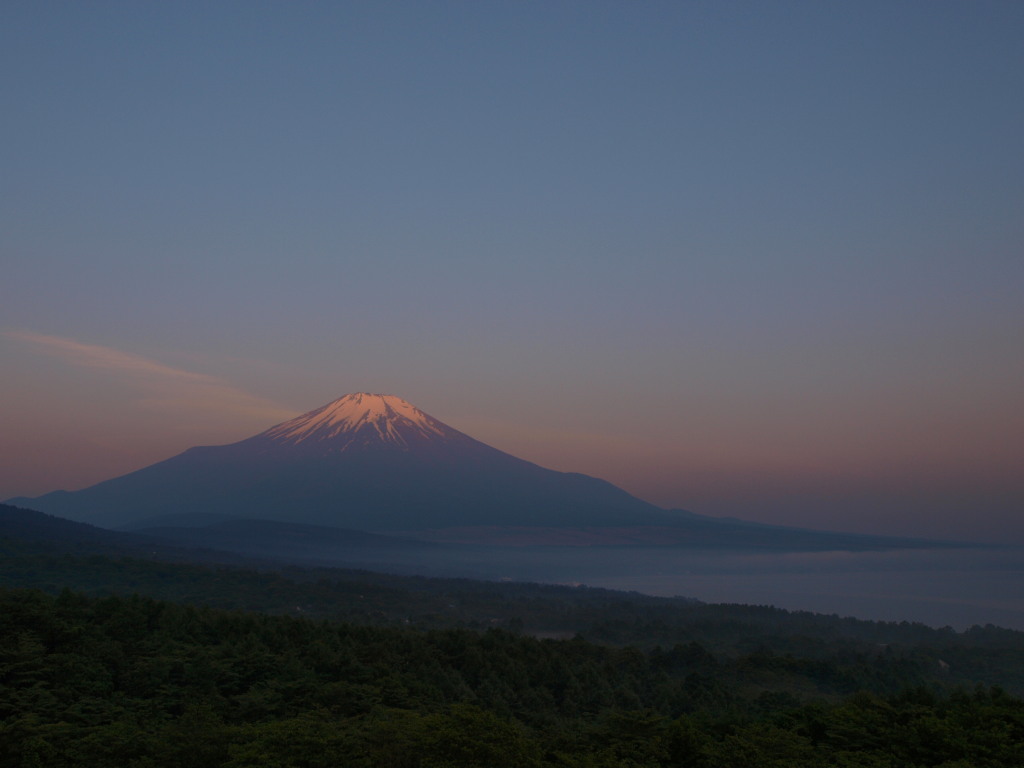 6/27 �_�C�ƒ��Ă��̕x�m�R