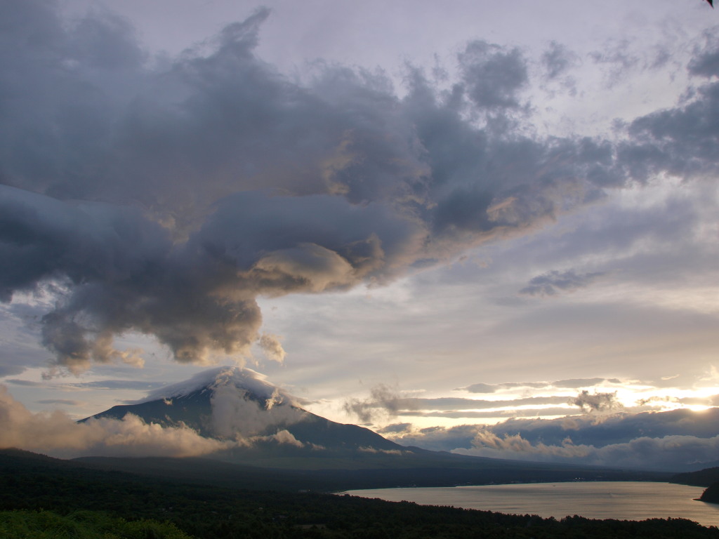 7/8 �[���ƕx�m�R