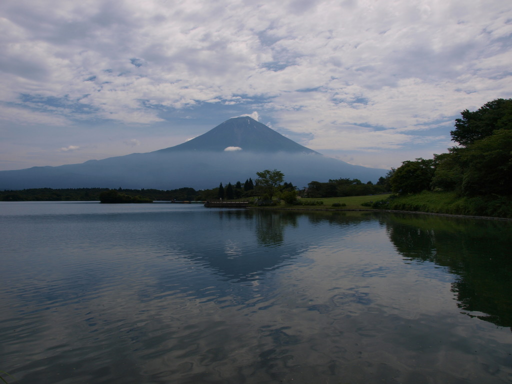 7/14 �c�ь΂���̋t���x�m