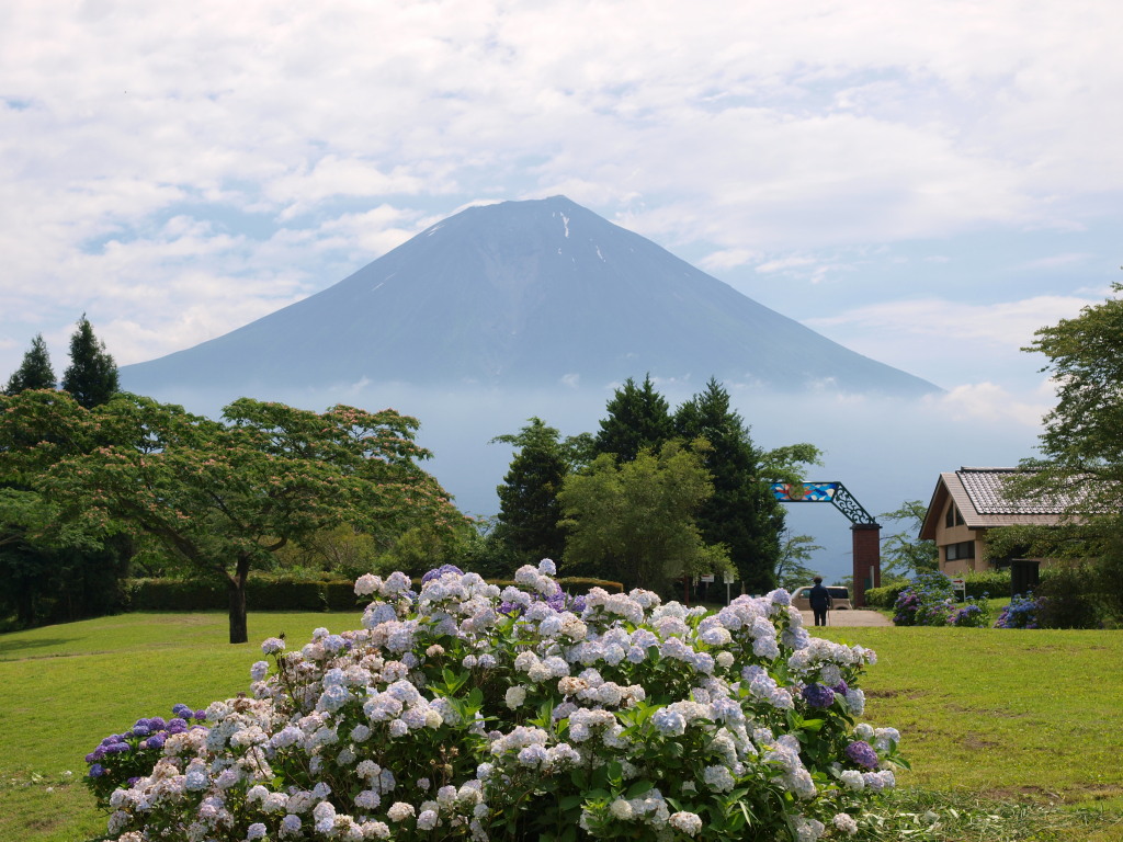 7/14 ���z�Ԃƕx�m�R