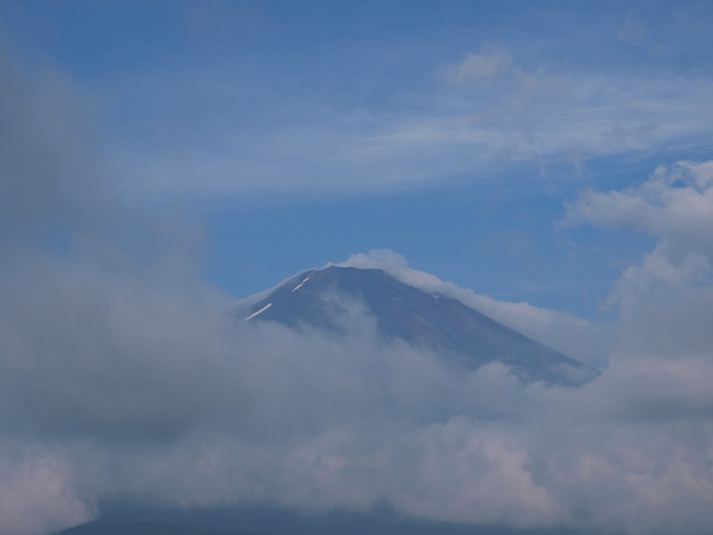 7/30 �J�オ��̕x�m�R