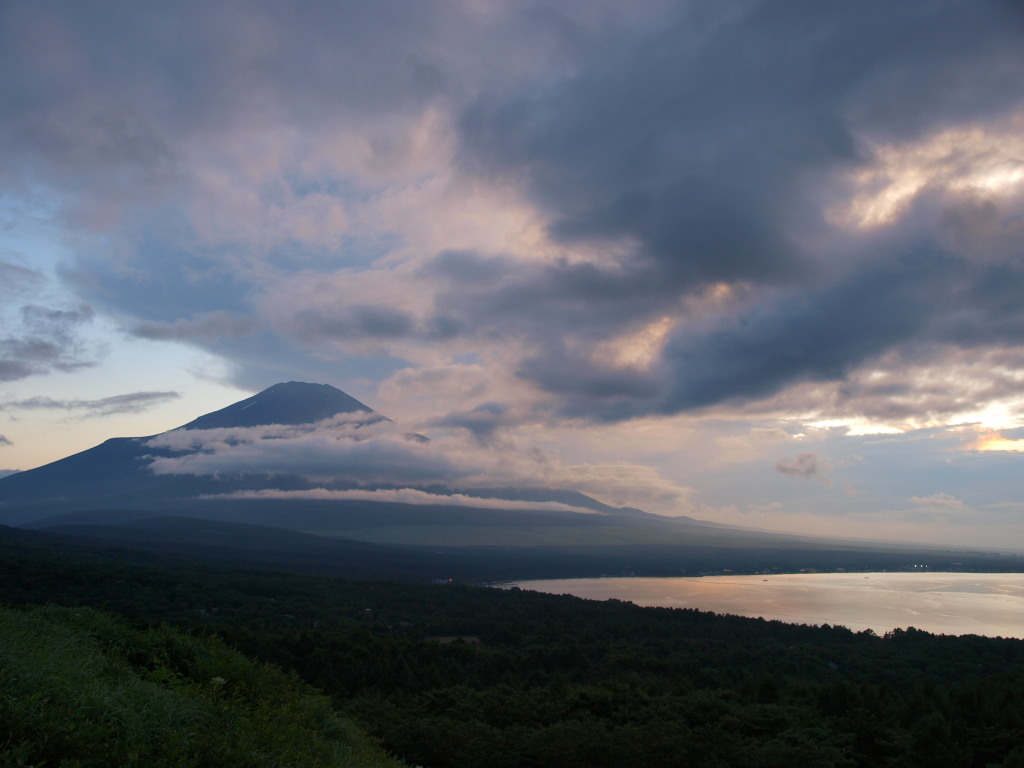 8/4 ���̓���ƕx�m�R