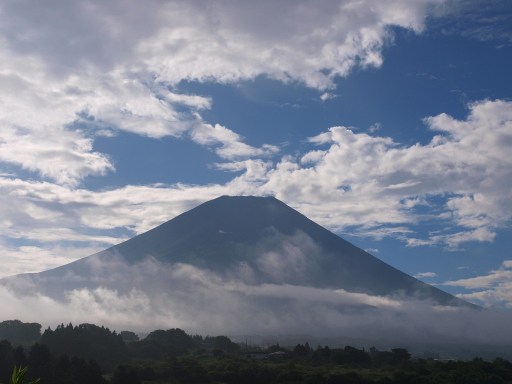 8/8 �x�m���䂩��̉Ă̕x�m�R