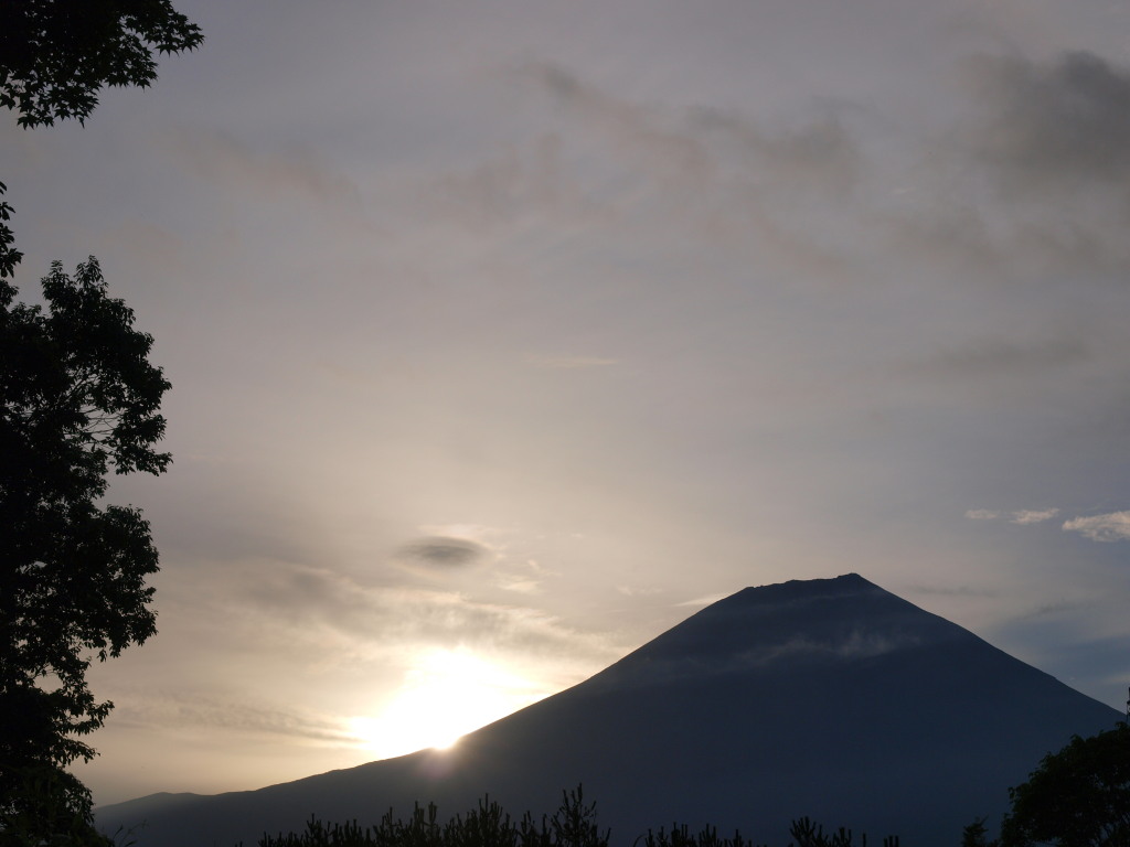 8/9 ������������̓��̏o�ƕx�m�R