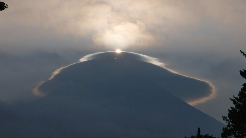 8/23 �_�C�������h���ǂ�