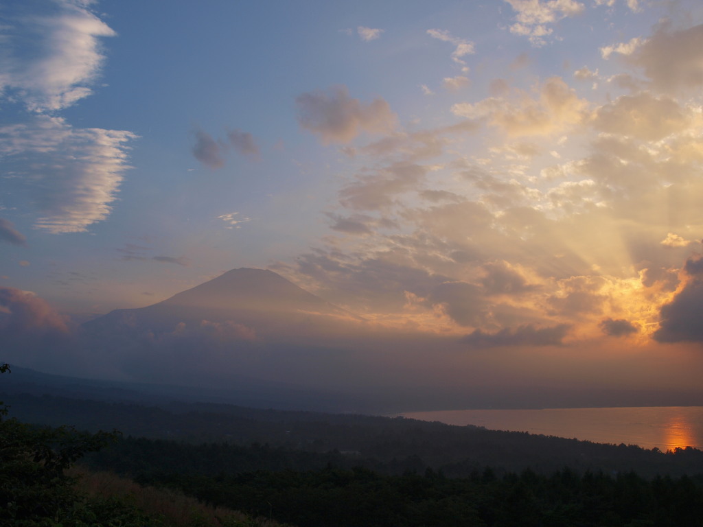 8/23 �[�Ă��ƕx�m�R