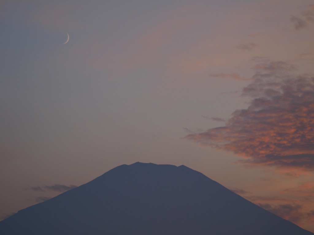 8/23 �O�����ƕx�m�R