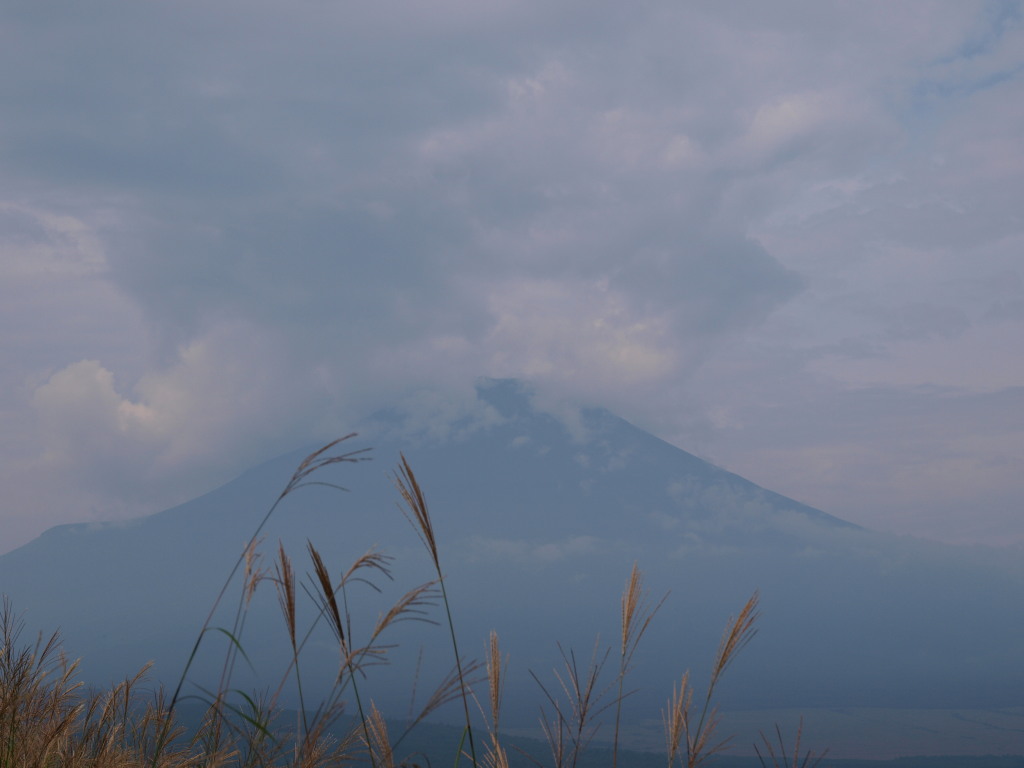 9/4 �X�X�L�ƕx�m�R