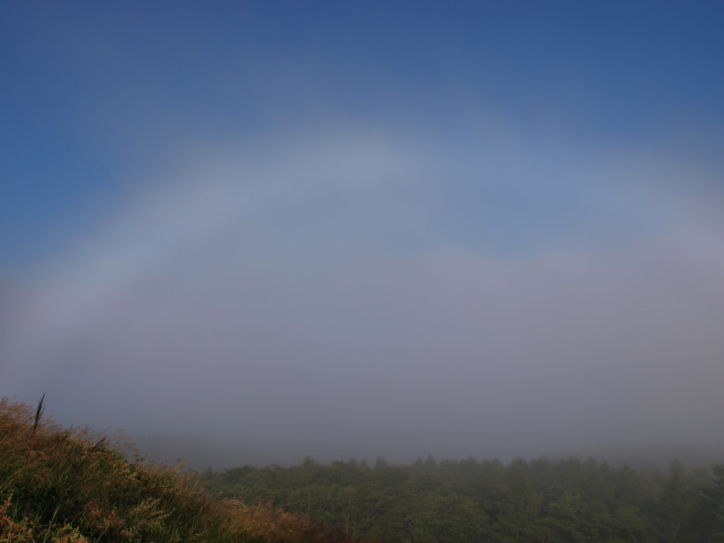 9/5 ������