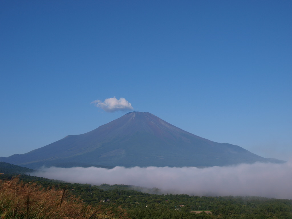 9/5 �J�オ��̉_�C�ƕx�m�R