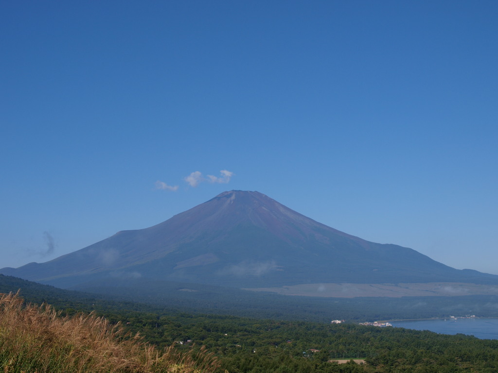 9/5 �s�[�J���̕x�m�R