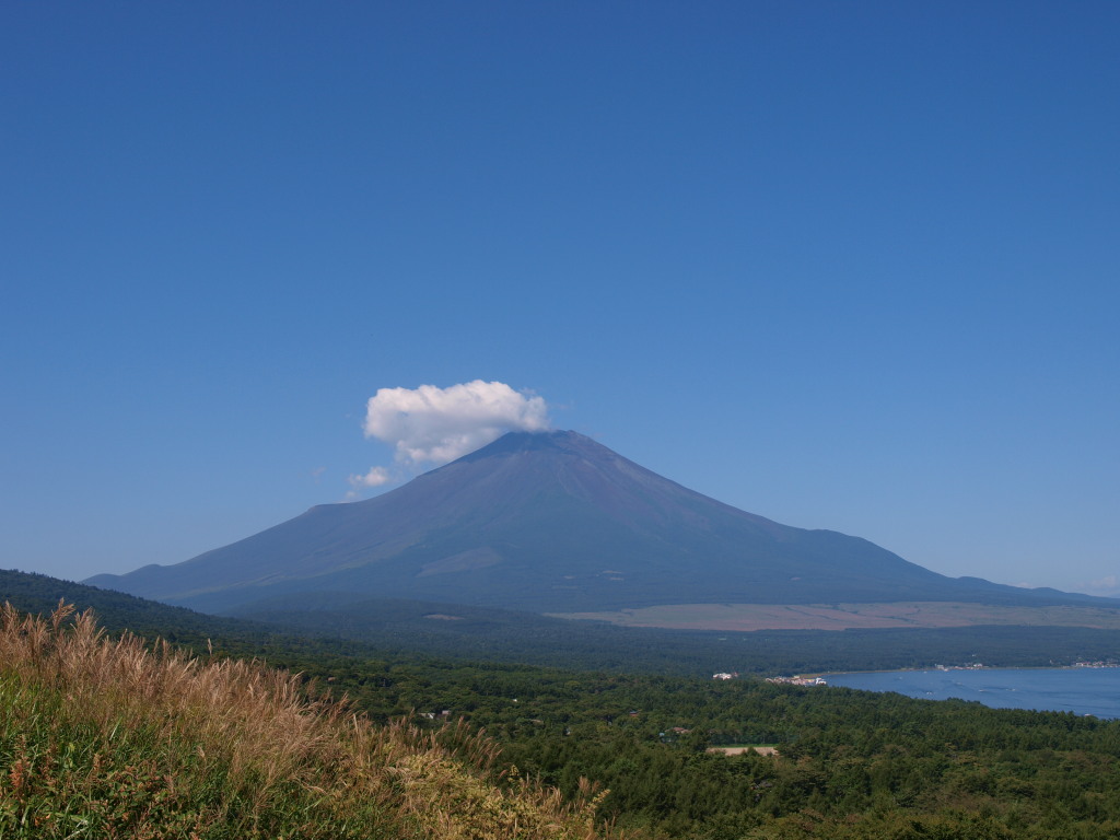 9/5 ���ꂢ�ȉĂ̕x�m�R