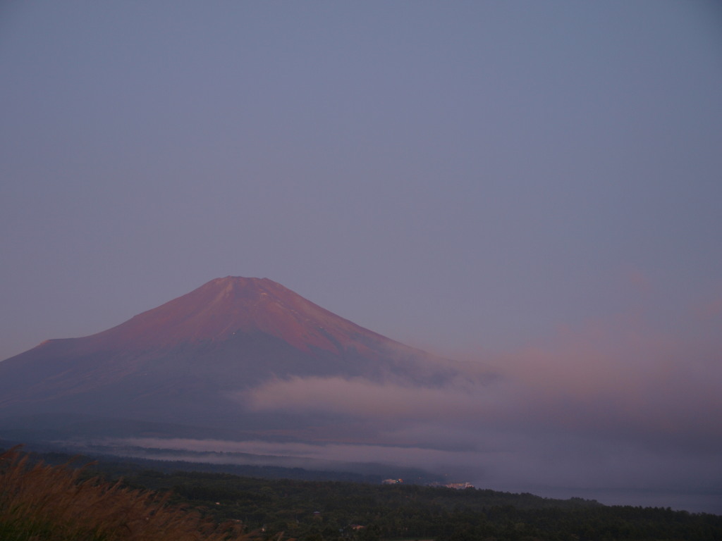 9/10 ��Ă��̕x�m�R