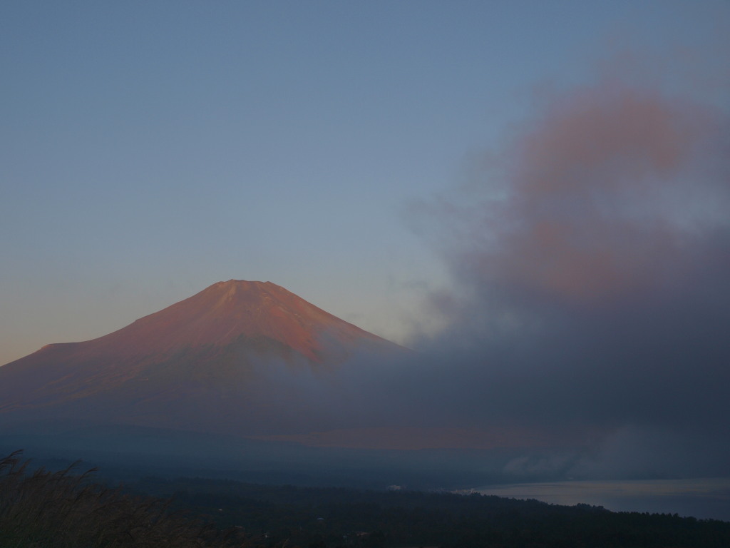 9/10 ���Ă��̕x�m�R