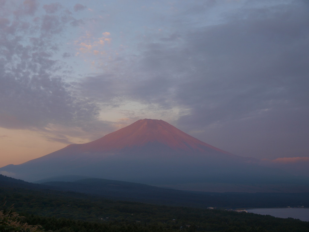 9/11 ���Ă��̕x�m�R