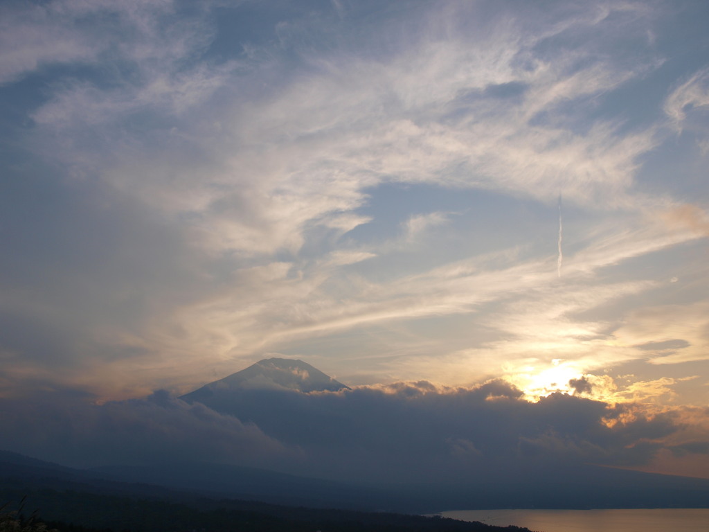 9/11 ���̓���̕x�m�R