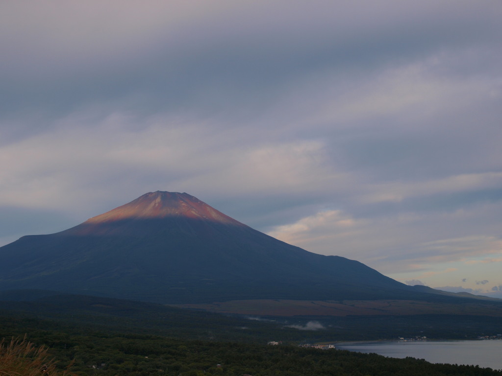 9/13 �_�ɕ���ꂽ���Ă��̕x�m�R