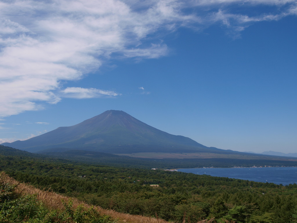 9/13 �H�_�ƕx�m�R