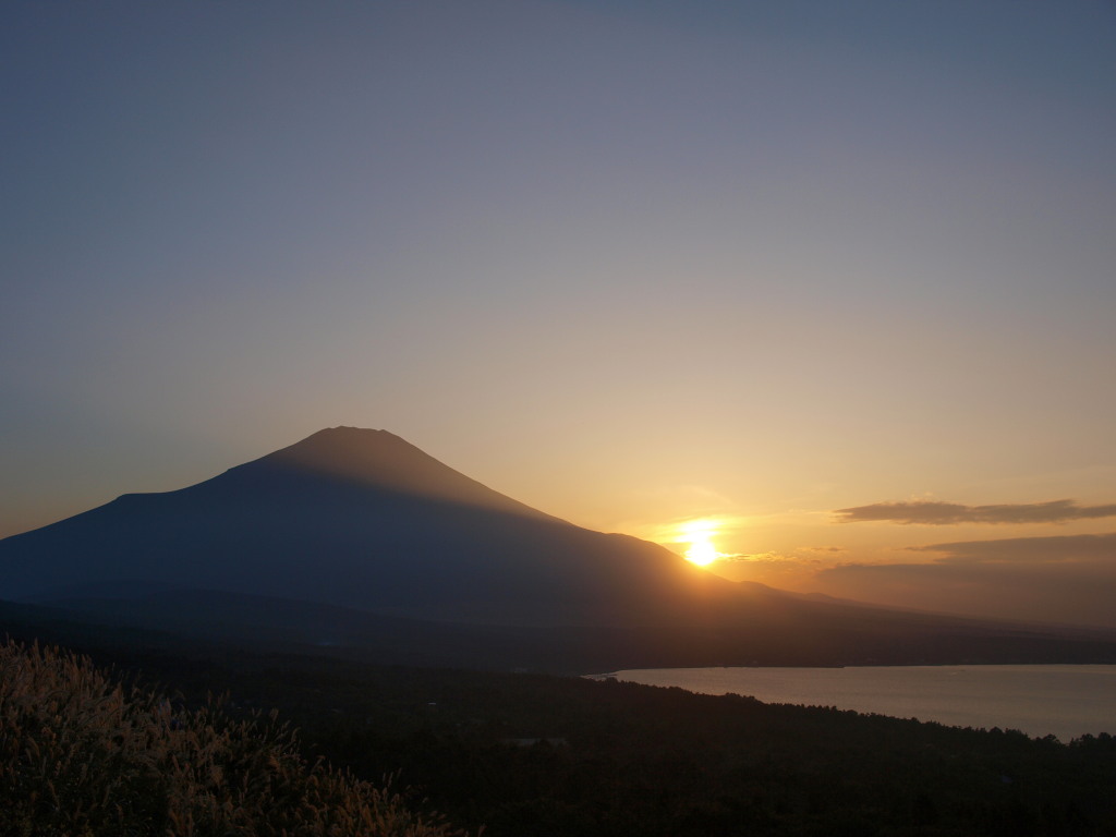 9/24 ���̓���ƕx�m�R