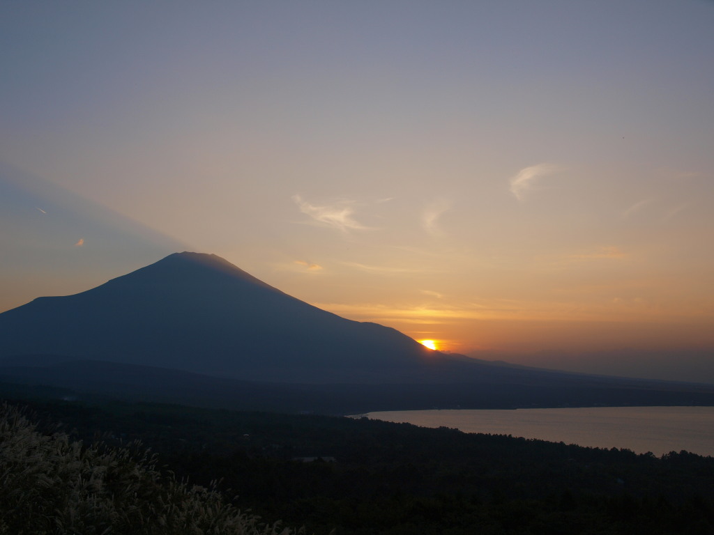 9/25 �[�Ă��ƕx�m�R