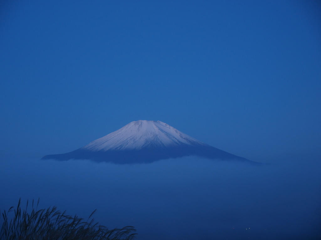 10/18 ��Ɖ_�C�̒��̕x�m�R