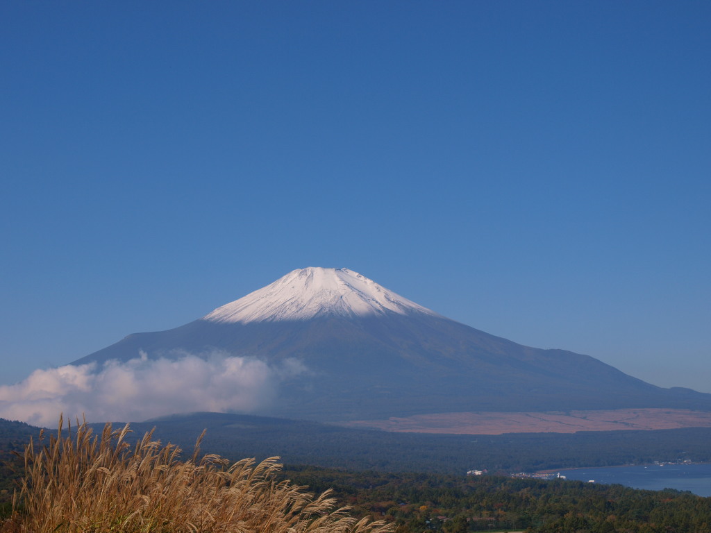 10/18 ���ꂢ�ȕx�m�R