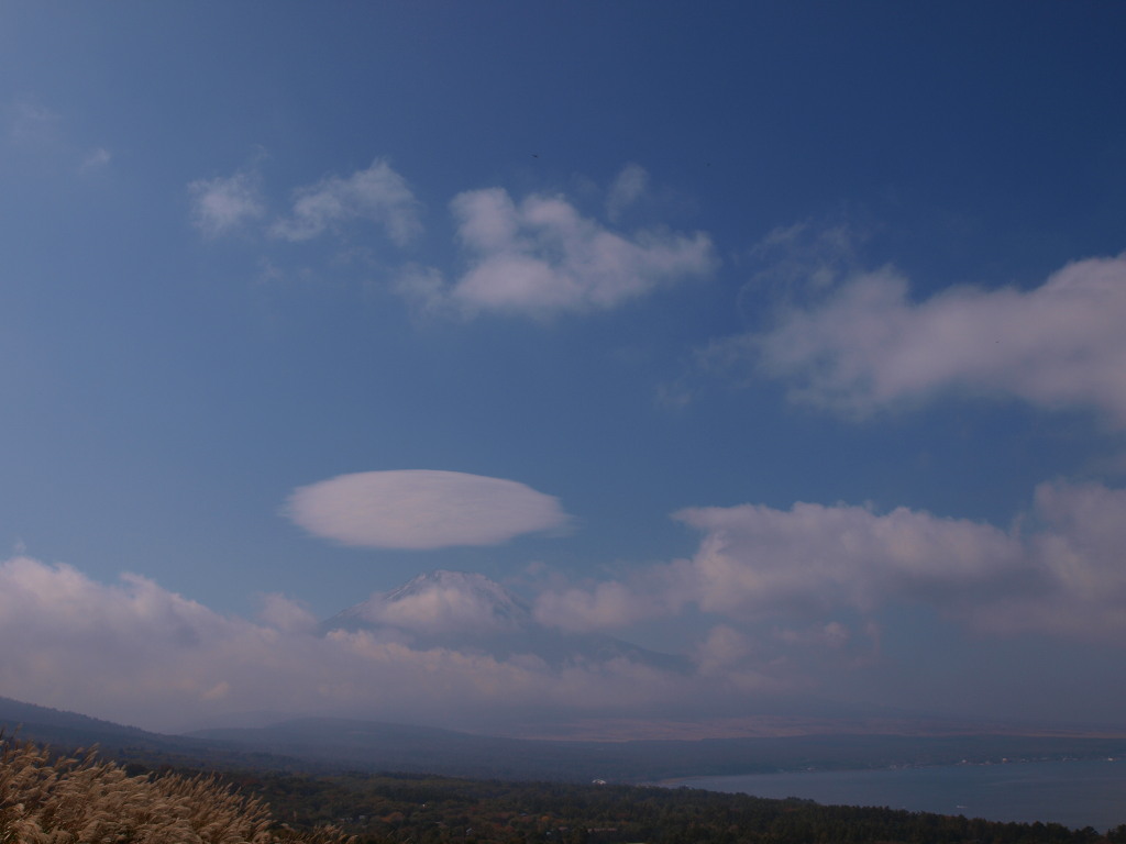 10/19 �邵�_�ƕx�m�R