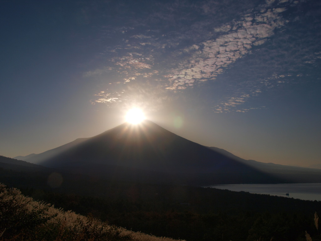 10/19 �p�m���}�䂩��_�C�������h�x�m