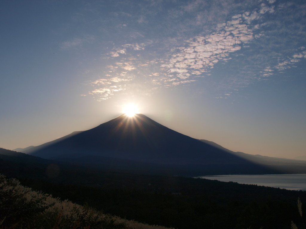 10/19 �p�m���}�䂩��_�C�������h�x�m(2)