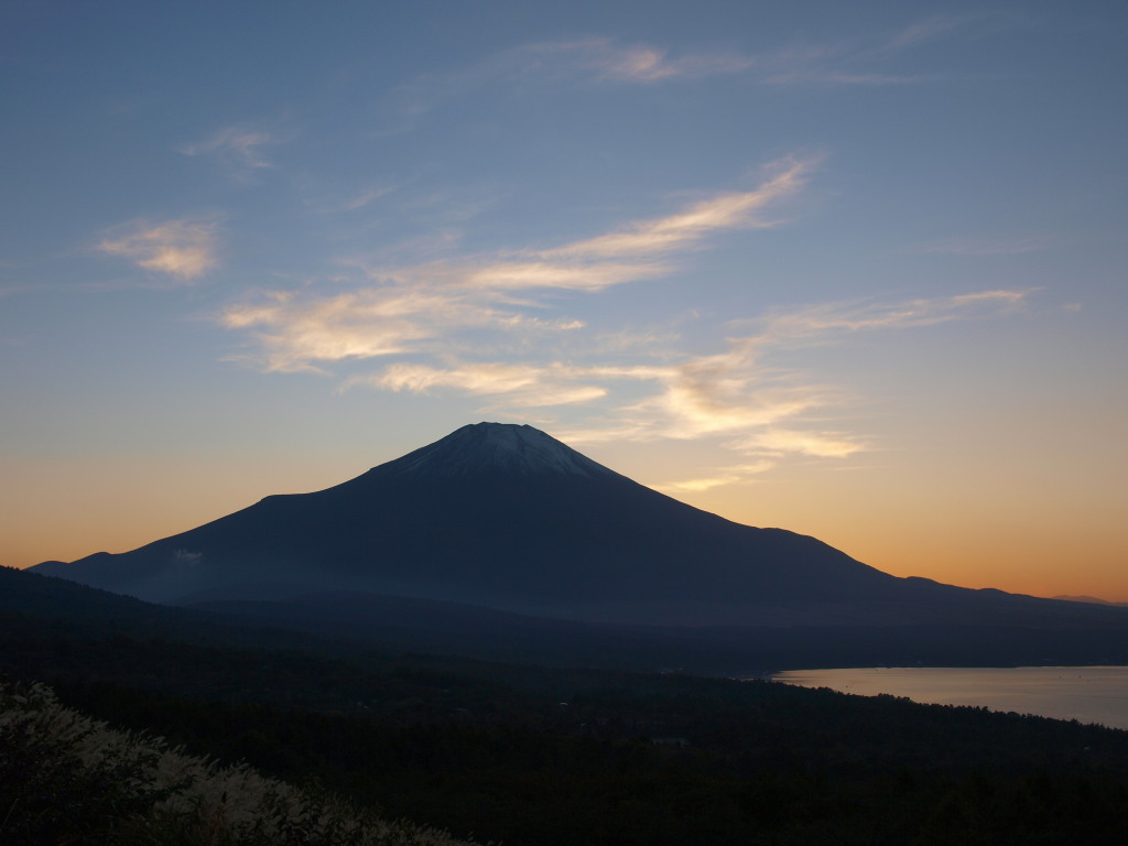 10/19 �[�Ă��ƕx�m�R