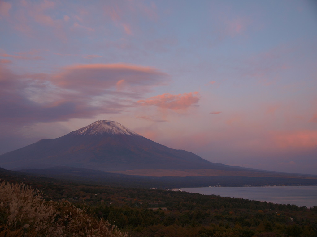 10/20 ���Ă��ƕx�m�R