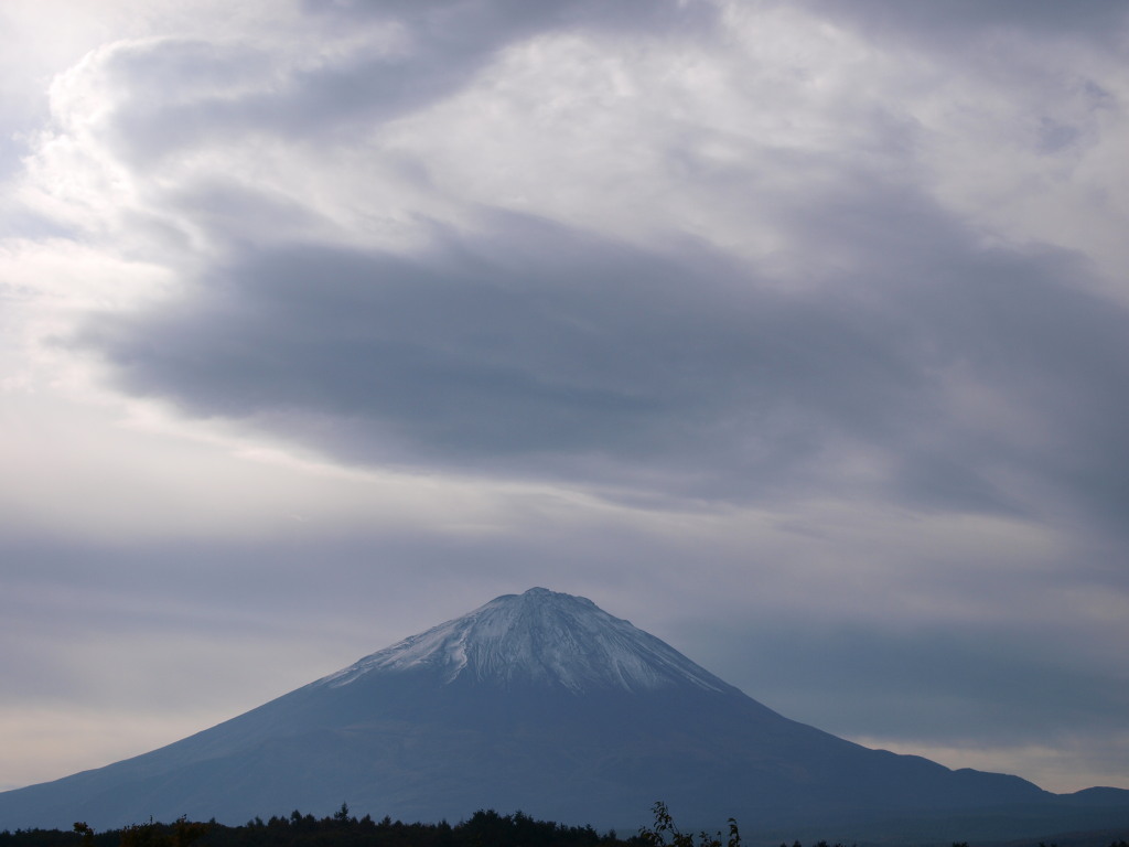 10/20 �򂩂�̕x�m�R