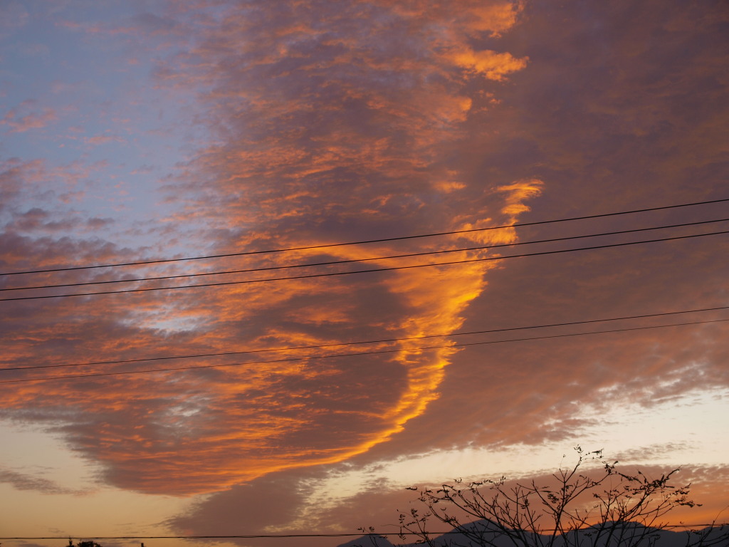 10/20 �c�ьΕ��ʂ̉_