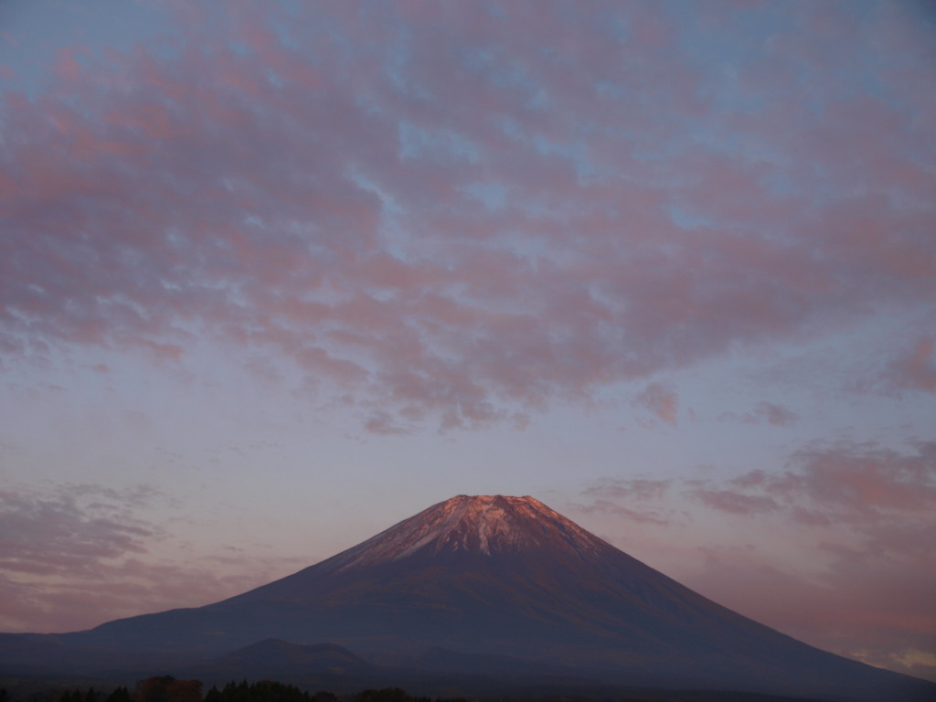 10/20 ���낱�_���Ԃ��Ȃ����x�m�R