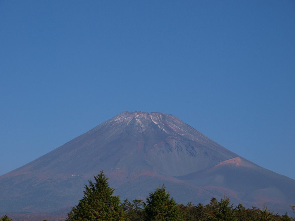 10/21 �z�O�x����̕x�m�R