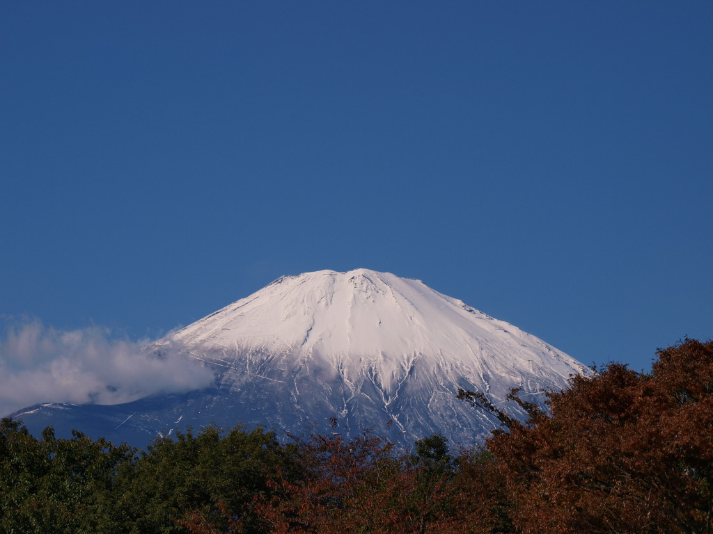 11/3 ��������̕x�m�R