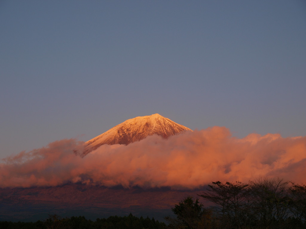 11/3 ���̓�����̗[�Ă��̕x�m�R