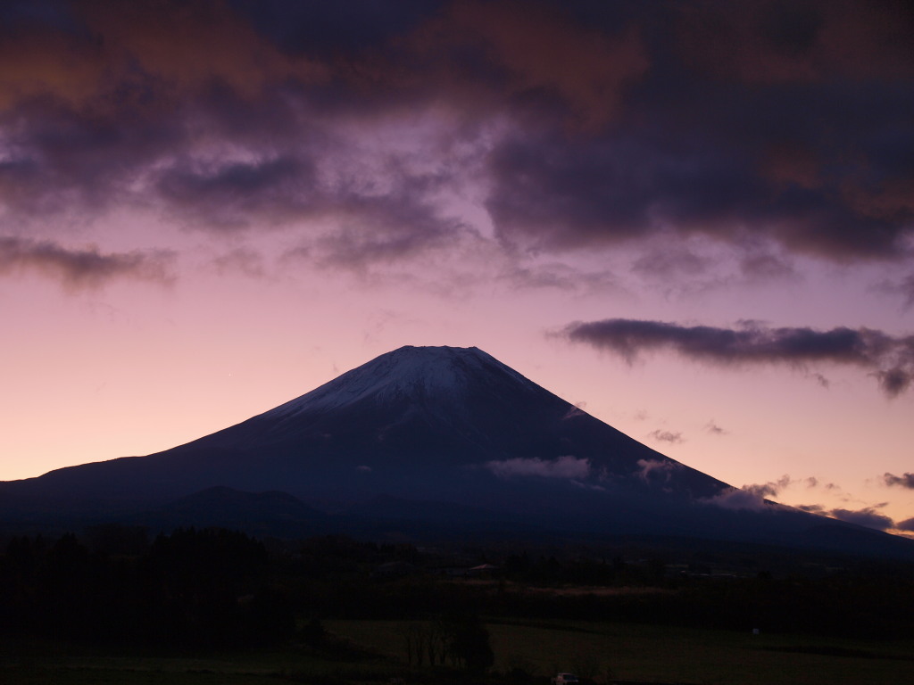 11/4 ���Ă��̕x�m�R