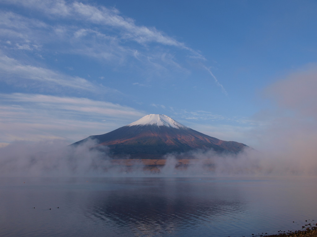 11/5 �_�C�ƕx�m�R