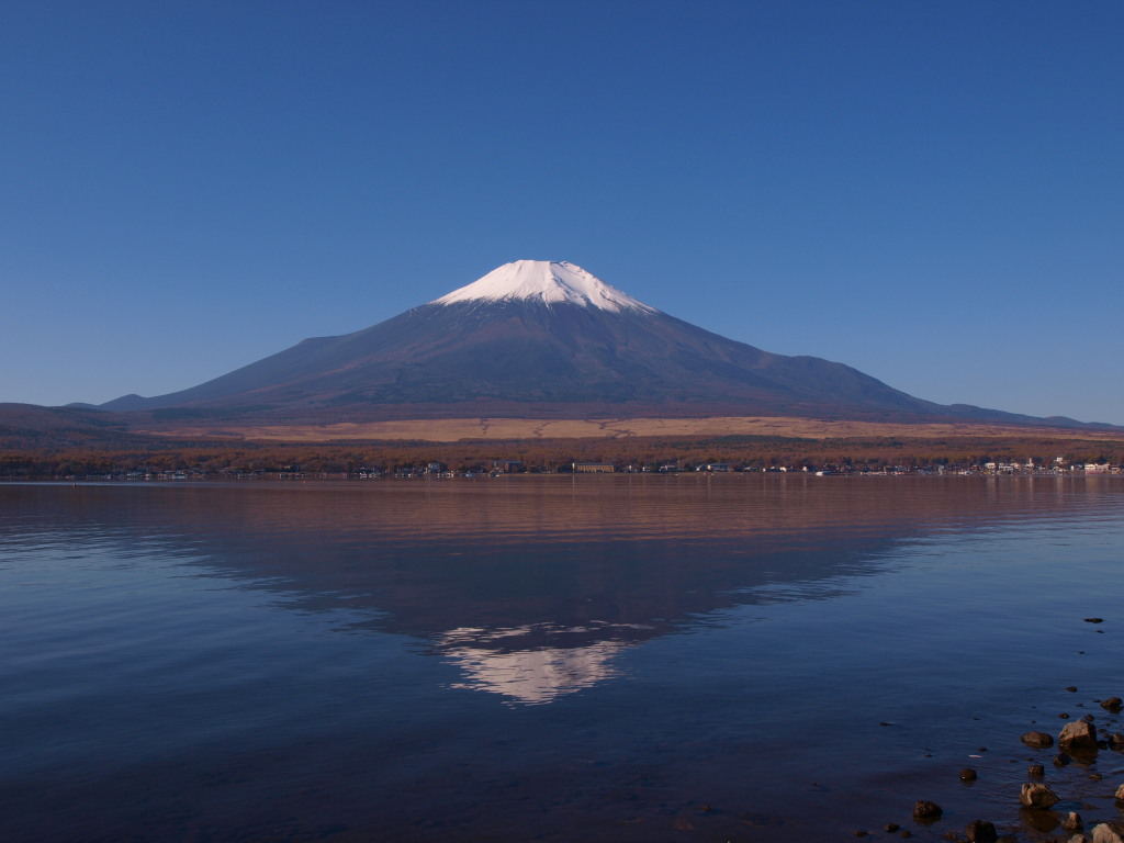 11/6 ���r����̋t���x�m